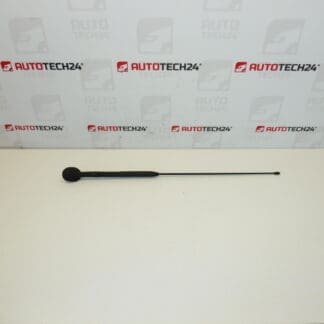 Antenne compleet Citroën C3 Pluriel 6561R7 656197