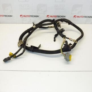 Kabelboom Citroën Peugeot 2.0HDI RHR 9659747380 9664702980 9661639880 5642HR