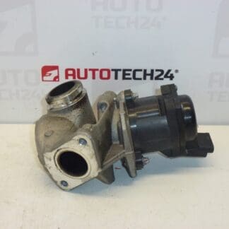 Nieuwe EGR1.6 HDI Citroën Peugeot 9685640480 1618NR