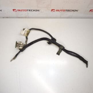 Plus bundel van Citroën Peugeot 9649923380 6589CC