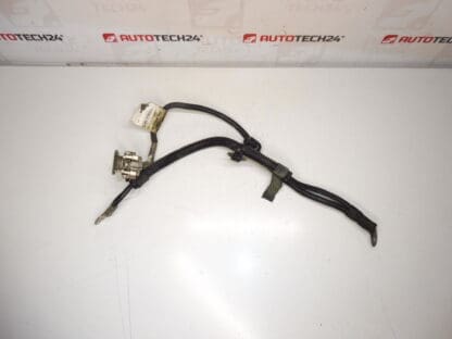 Plus bundel van Citroën Peugeot 9649923380 6589CC