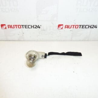 Achterlampbasis Deksel Citroën C4 Picasso 9653547480 6351CA 9653547777 6350CC