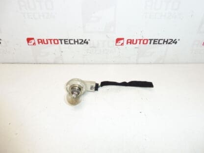 Achterlampbasis Deksel Citroën C4 Picasso 9653547480 6351CA 9653547777 6350CC