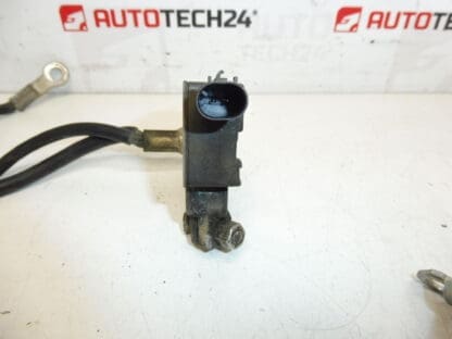 Negatieve Pool Kabel Citroën C5 X7 9684772180 5838TE - Afbeelding 2