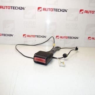 Peuge -bestuurder Passhouder Peugeot 407 8975ar