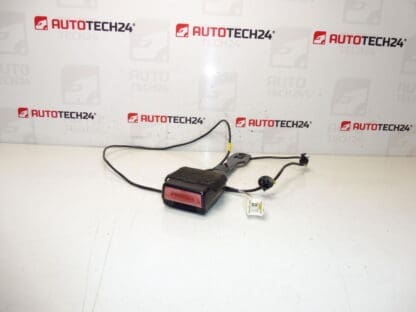 Peuge -bestuurder Passhouder Peugeot 407 8975ar