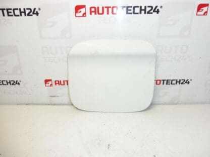 Peugeot 301 Citroen C-ELYSEE EWP 9677571480