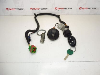 Set sloten en Citroën C8 + 1 Switch Box 4162Y4 4162Y2