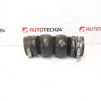 Turbo Slang 1.6 HDI Citroën Peugeot 9680356780 0382FN