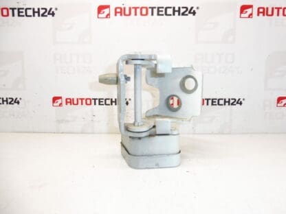 De rechter achterdeur stoppen EWPB Citroen C3 Picasso 9035FN