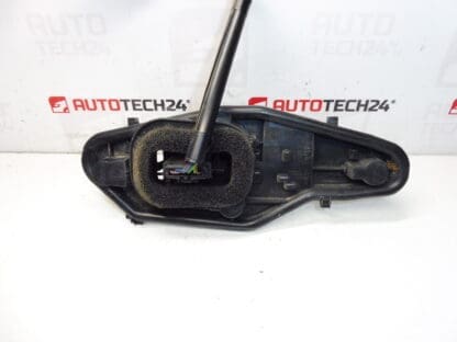 Gloeilampen rechts achterlicht Peugeot Citroën 9677205480 9680607880 - Afbeelding 2