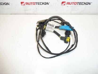 Citroen Peugeot 9653900780 6567LQ bundel